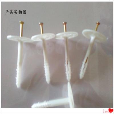 嘉興膨脹螺絲保溫釘生產廠家批發(fā)價格0.25個