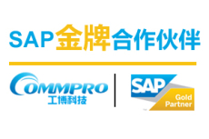汕头SAP ERP软件公司 汕头玩具管理软件