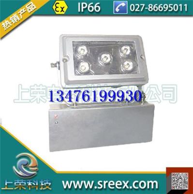 SR623-LED-固态应急照明灯