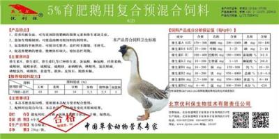 養(yǎng)肉鵝的飼料配方 養(yǎng)殖肉鵝最省飼料配方