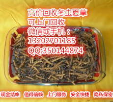 東莞大朗回收冬蟲(chóng)夏草 大井頭哪有回收蟲(chóng)草