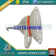 SRLED-906A防爆免维护LED投光灯BZD188-06