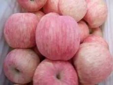 脆甜苹果哪里的好吃山东红富士苹果价格