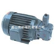 SMVP-30-3-2-AAL-380/50/3-B3-4-H-02油泵