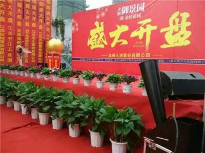 上海杭州苏州南京宁波庆典花开启动仪式道具