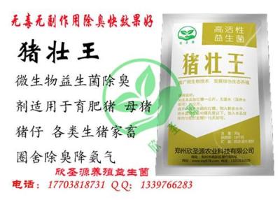 酒糟能喂豬嗎 怎么使用酒糟來喂豬長(zhǎng)的快