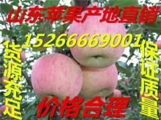 山东苹果 红富士苹果 苹果批发