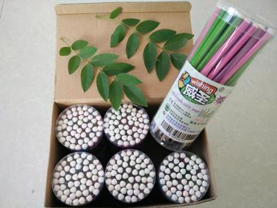 威圣7001-1沾頂削尖鉛筆/2B鉛筆/考試用筆