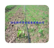 城固县灌溉专用大棚滴灌 灌溉管品质保证