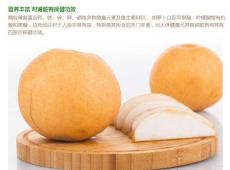 平顶山梨树苗价格/平顶山果树苗批发/花椒苗