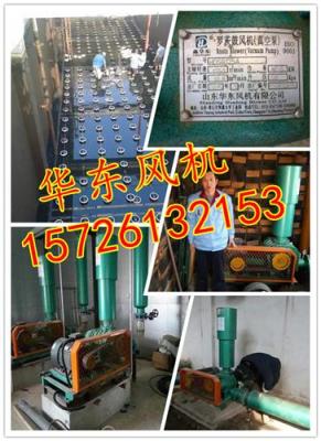 清遠曝氣風機曝氣風機價格曝氣羅茨鼓風機