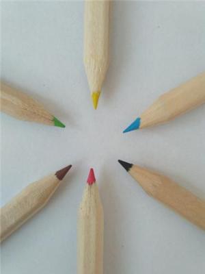 威圣1004迷你6色彩色鉛筆/原木色彩色鉛筆