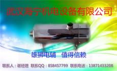 黃岡電輔加熱器雄獅品牌
