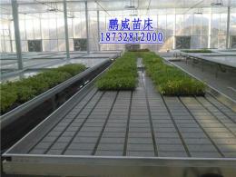 河北鹏威潮汐苗床潮汐育苗盘移动苗床