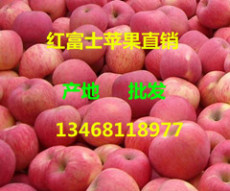 山东红富士苹果产地红富士苹果产地价格