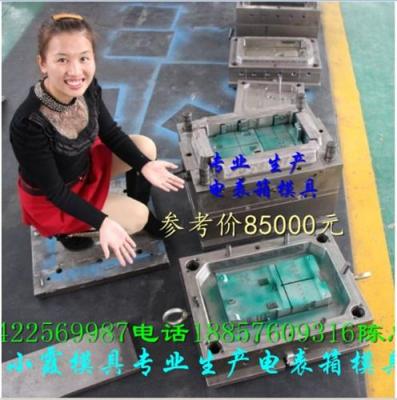 台州5表塑料电表箱模具工厂