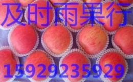 陕西膜袋红富士苹果价格