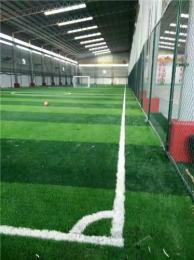 天津足球场地草坪 标准足球草坪施工