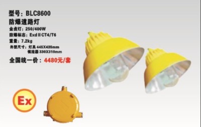 BTC8810-40W LED防爆工廠燈