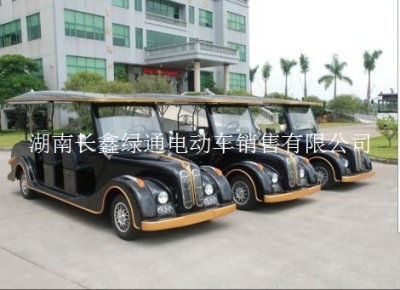 常德電動老爺車酒店用車看房車