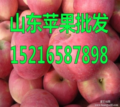 山東紅富士蘋果產(chǎn)地市場批發(fā)報(bào)價(jià)