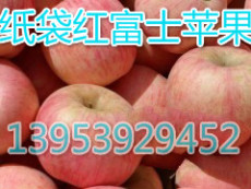 山东条纹红红富士苹果价格今日批发价格