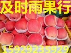 膜袋红富士苹果价格陕西膜袋红富士苹果8毛