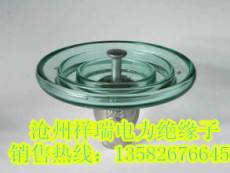 LXY-100钢化玻璃绝缘子