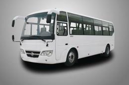 楚風(fēng)牌HQG6901F1D5型客車