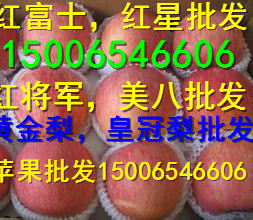 贵州红富士苹果批发价格