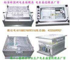 黄岩订做 三相2电表箱注塑模具中国厂