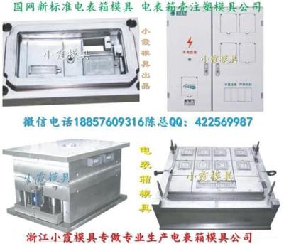 黄岩订做 三相2电表箱注塑模具中国厂