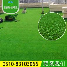 仿真假草皮地毯 户外装饰绿化人工草坪SL002