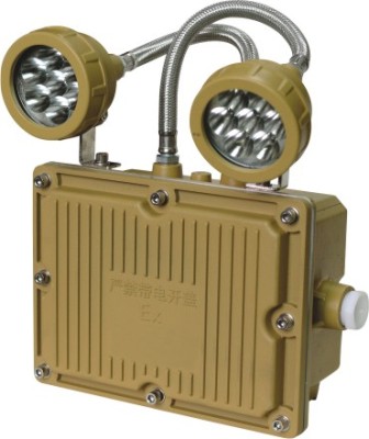 GX9012应急灯/双头应急灯GX9012