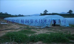 柳城县六塘镇微喷头 温室大棚滴灌设备滴灌