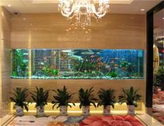 大型生態魚缸價格 保定生態魚缸廠家