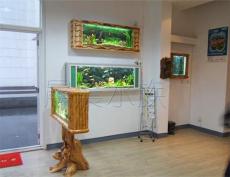 水族箱品牌 水族箱擺放位置