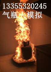 凌鼎集装箱真火模拟训练燃烧床门后火气瓶火