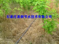 桂平市小管出流 果树滴灌 果园滴灌专用