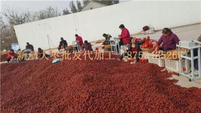 去哪里批發(fā)新疆紅棗價格便宜