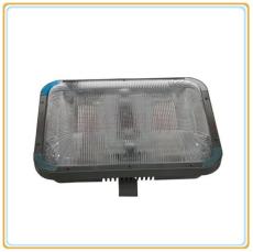 CNW9180長(zhǎng)壽無(wú)極頂燈 CNW9180-40W