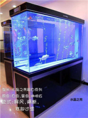 济南高新区热带鱼专卖店