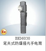 BXD6030筆夾式防爆強(qiáng)光手電筒/BXD6030