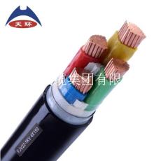 邯郸低压电力电缆YJV22生产厂家-天环线缆