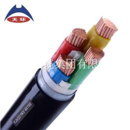 邯鄲低壓電力電纜YJV22生產廠家-天環線纜