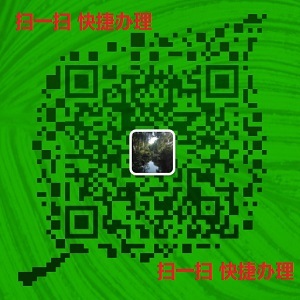 齐鲁晚报挂失登报网上办理