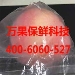 草莓保鮮袋批發(fā)/水果保鮮袋廠家/水果保鮮盒