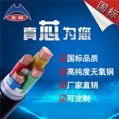衡水電力電纜 YJV低壓電力電纜廠家-天環