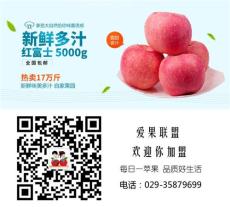 陕西红富士洛川红富士苹果优质供应价格电议