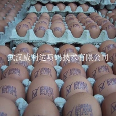 广东鸡蛋生产日期打标机 喷码机